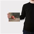 Picture of Pomegrenate Still Life II _GroupedProduct_Rectangle_Landscape_Canvas_