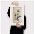 Picture of Vintage Flower I _GroupedProduct_Rectangle_Portrait_Canvas_