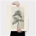 Picture of Vintage Flower II _GroupedProduct_Rectangle_Portrait_Canvas_
