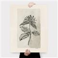 Picture of Vintage Flower II _GroupedProduct_Rectangle_Portrait_Canvas_