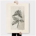 Picture of Vintage Flower II _GroupedProduct_Rectangle_Portrait_Canvas_