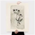 Picture of Vintage Flower IV _GroupedProduct_Rectangle_Portrait_Canvas_
