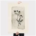 Picture of Vintage Flower IV _GroupedProduct_Rectangle_Portrait_Canvas_