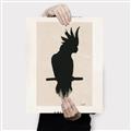 Picture of Vintage Cockatoo _GroupedProduct_Rectangle_Portrait_Canvas_