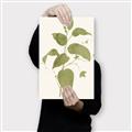 Picture of Leaf Mirage I _GroupedProduct_Rectangle_Portrait_Canvas_