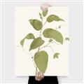 Picture of Leaf Mirage I _GroupedProduct_Rectangle_Portrait_Canvas_