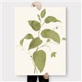Picture of Leaf Mirage I _GroupedProduct_Rectangle_Portrait_Canvas_
