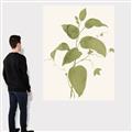 Picture of Leaf Mirage I _GroupedProduct_Rectangle_Portrait_Canvas_