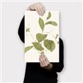 Picture of Leaf Mirage II _GroupedProduct_Rectangle_Portrait_Canvas_