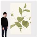 Picture of Leaf Mirage II _GroupedProduct_Rectangle_Portrait_Canvas_
