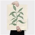 Picture of Swaying Foliage I _GroupedProduct_Rectangle_Portrait_Canvas_