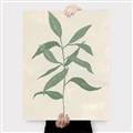 Picture of Swaying Foliage I _GroupedProduct_Rectangle_Portrait_Canvas_