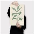 Picture of Swaying Foliage II _GroupedProduct_Rectangle_Portrait_Canvas_