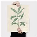 Picture of Swaying Foliage II _GroupedProduct_Rectangle_Portrait_Canvas_