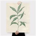 Picture of Swaying Foliage II _GroupedProduct_Rectangle_Portrait_Canvas_