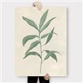 Picture of Swaying Foliage II _GroupedProduct_Rectangle_Portrait_Canvas_