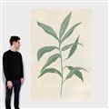 Picture of Swaying Foliage II _GroupedProduct_Rectangle_Portrait_Canvas_