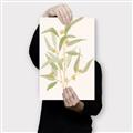 Picture of Botanical Strand I _GroupedProduct_Rectangle_Portrait_Canvas_
