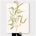 Picture of Botanical Strand I _GroupedProduct_Rectangle_Portrait_Canvas_