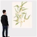 Picture of Botanical Strand I _GroupedProduct_Rectangle_Portrait_Canvas_