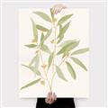 Picture of Botanical Strand II _GroupedProduct_Rectangle_Portrait_Canvas_
