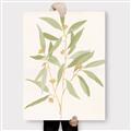 Picture of Botanical Strand II _GroupedProduct_Rectangle_Portrait_Canvas_