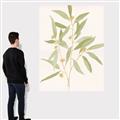Picture of Botanical Strand II _GroupedProduct_Rectangle_Portrait_Canvas_