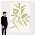 Picture of Botanical Strand II _GroupedProduct_Rectangle_Portrait_Canvas_