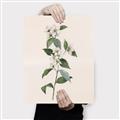 Picture of Swaying Foliage III _GroupedProduct_Rectangle_Portrait_Canvas_