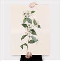 Picture of Swaying Foliage III _GroupedProduct_Rectangle_Portrait_Canvas_