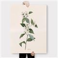 Picture of Swaying Foliage III _GroupedProduct_Rectangle_Portrait_Canvas_