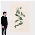 Picture of Swaying Foliage III _GroupedProduct_Rectangle_Portrait_Canvas_