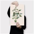 Picture of Swaying Foliage IV _GroupedProduct_Rectangle_Portrait_Canvas_