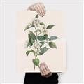 Picture of Swaying Foliage IV _GroupedProduct_Rectangle_Portrait_Canvas_