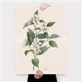 Picture of Swaying Foliage IV _GroupedProduct_Rectangle_Portrait_Canvas_