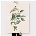 Picture of Swaying Foliage IV _GroupedProduct_Rectangle_Portrait_Canvas_