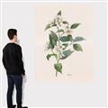 Picture of Swaying Foliage IV _GroupedProduct_Rectangle_Portrait_Canvas_