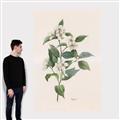 Picture of Swaying Foliage IV _GroupedProduct_Rectangle_Portrait_Canvas_