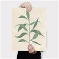 Picture of Swaying Foliage V _GroupedProduct_Rectangle_Portrait_Canvas_