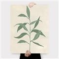Picture of Swaying Foliage V _GroupedProduct_Rectangle_Portrait_Canvas_