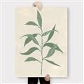 Picture of Swaying Foliage V _GroupedProduct_Rectangle_Portrait_Canvas_
