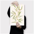 Picture of Botanical Strand III _GroupedProduct_Rectangle_Portrait_Canvas_