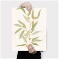 Picture of Botanical Strand III _GroupedProduct_Rectangle_Portrait_Canvas_