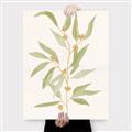 Picture of Botanical Strand III _GroupedProduct_Rectangle_Portrait_Canvas_