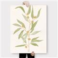 Picture of Botanical Strand III _GroupedProduct_Rectangle_Portrait_Canvas_