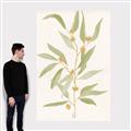 Picture of Botanical Strand III _GroupedProduct_Rectangle_Portrait_Canvas_