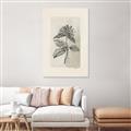 Picture of Vintage Flower II _GroupedProduct_Rectangle_Portrait_Canvas_