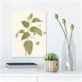 Picture of Leaf Mirage I _GroupedProduct_Rectangle_Portrait_Canvas_
