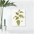 Picture of Leaf Mirage I _GroupedProduct_Rectangle_Portrait_Canvas_