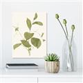 Picture of Leaf Mirage II _GroupedProduct_Rectangle_Portrait_Canvas_
